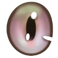 #10 