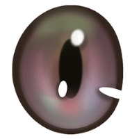 #08 