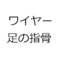 ワイヤー足の指骨  + 20,000円 