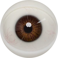 E02 