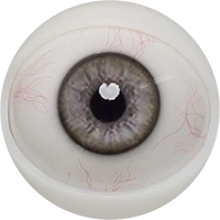 E05 