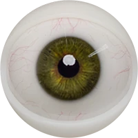 E10 