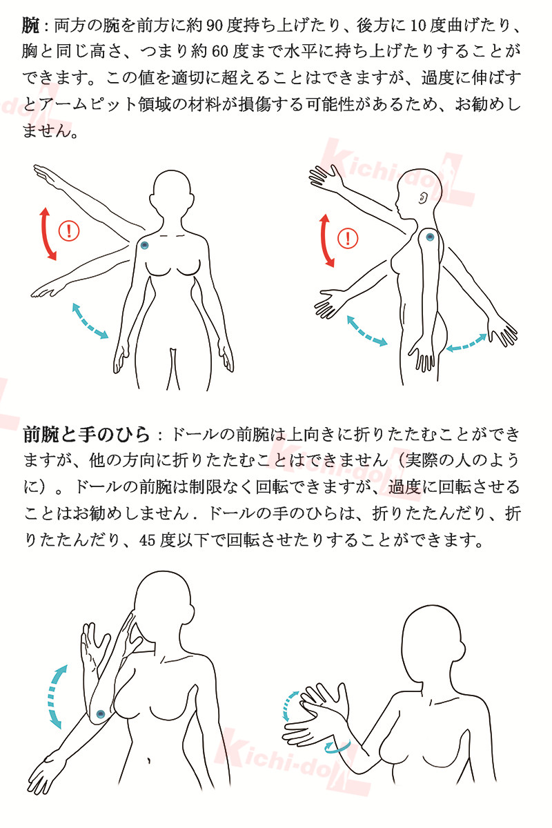 腕の活動