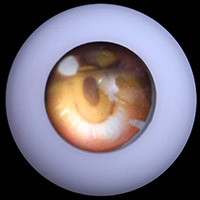 A01 
