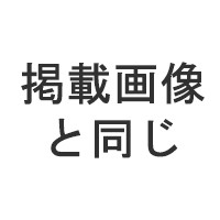 掲載画像と同じ 