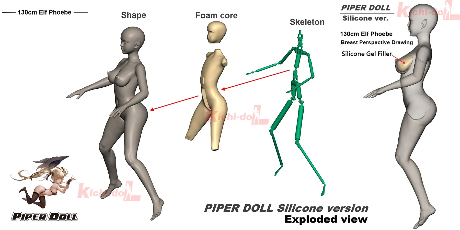 ドールの構造-3D