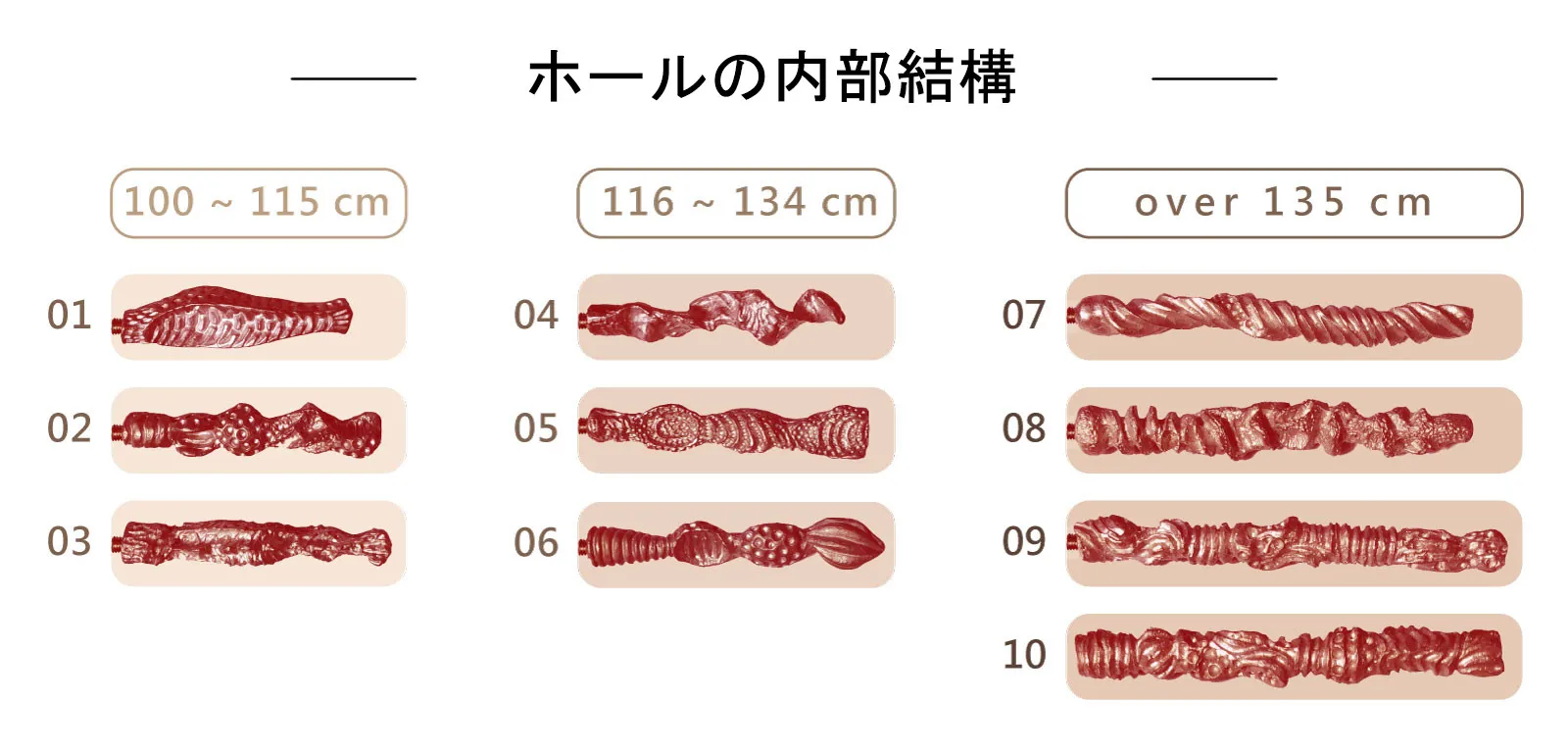 ホールの内部構造