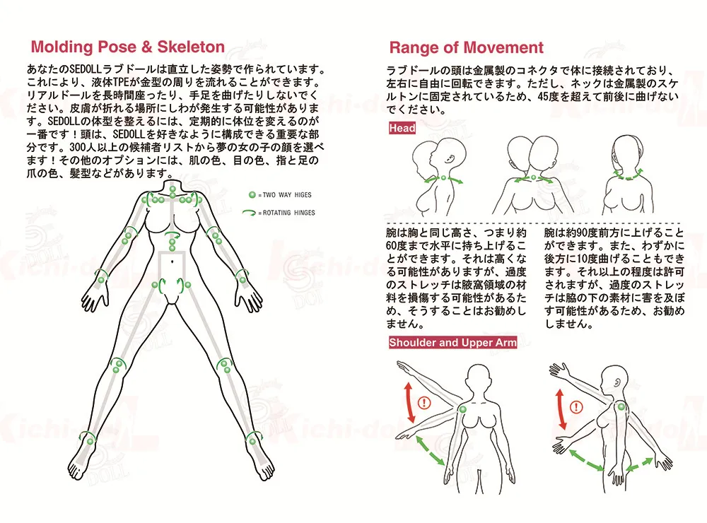 ヘット＆肩の可動領域