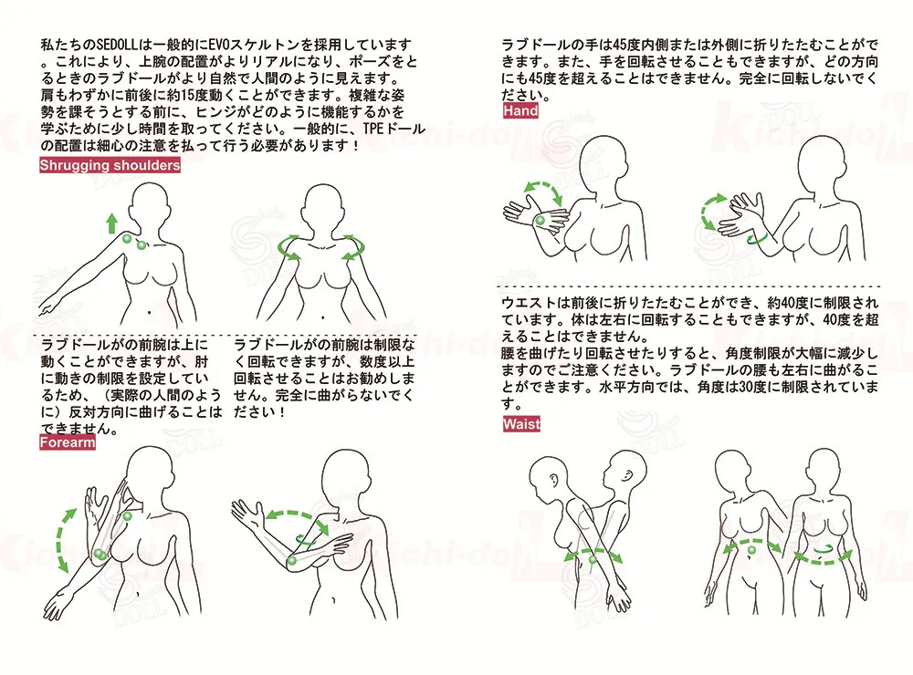 腕＆腰の可動領域