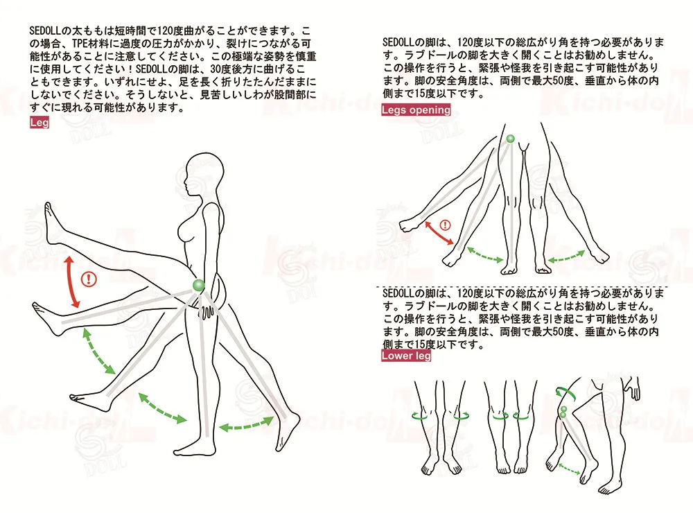 足の可動領域