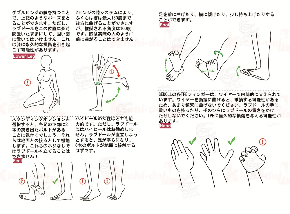 足＆腕の可動領域