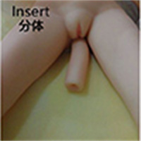 着脱式 
