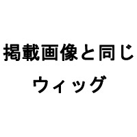 掲載画像と同じ 