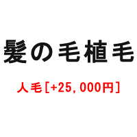 人毛  + 25,000円 