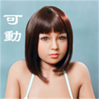 EVO骨格 